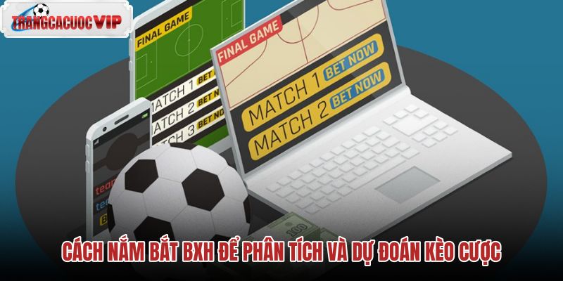 cach nam bat bxh de phan tich va du doan keo cuoc